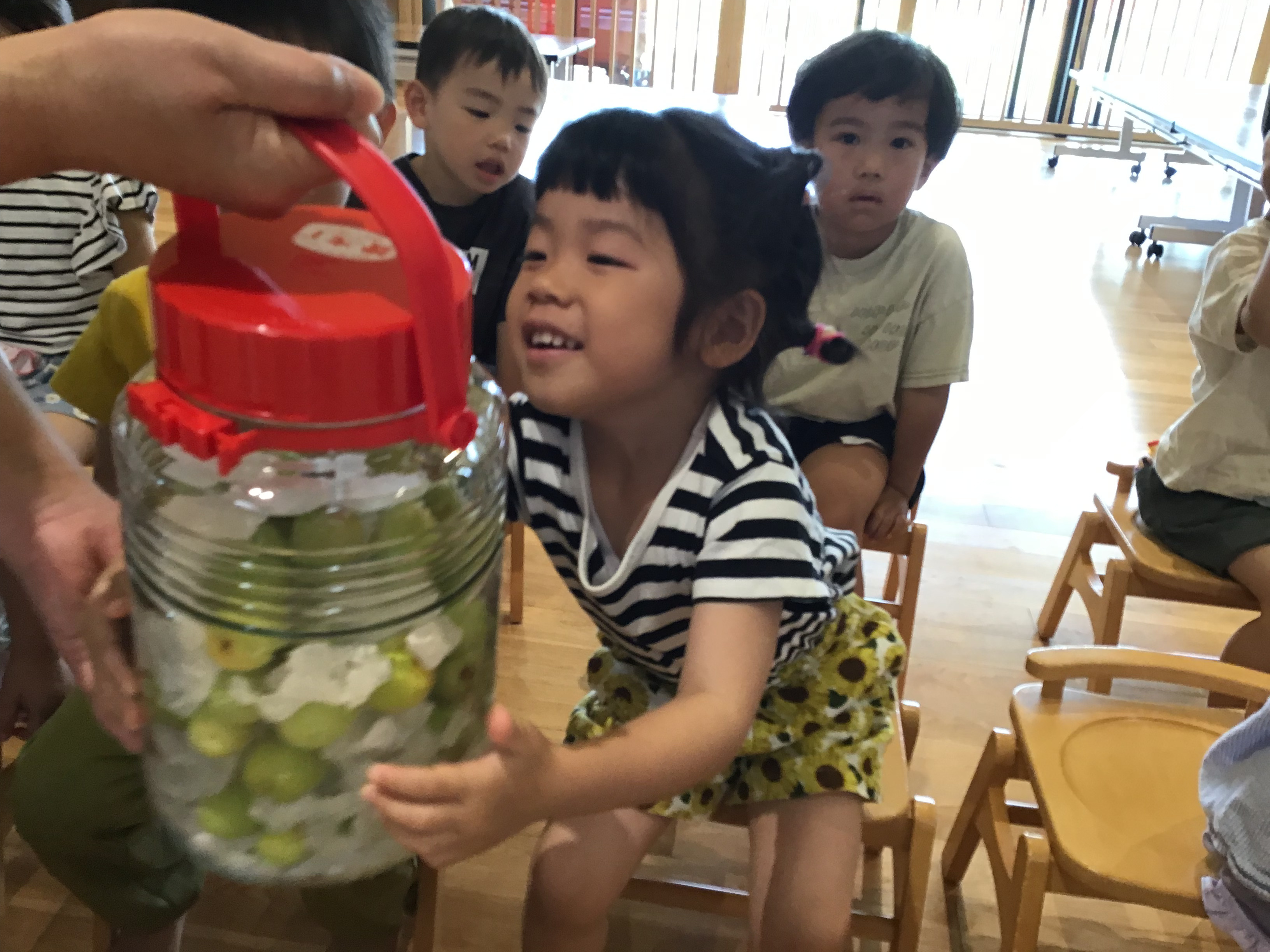 お知らせ お知らせ